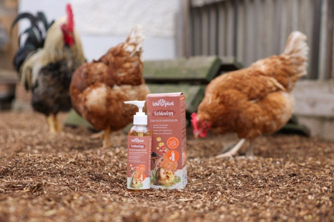 IdaPlus® GoldenEgg