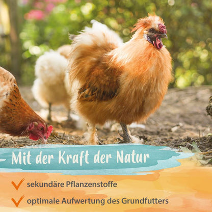 IdaPlus® PowerHerbs – für alle Geflügelarten - 150 g