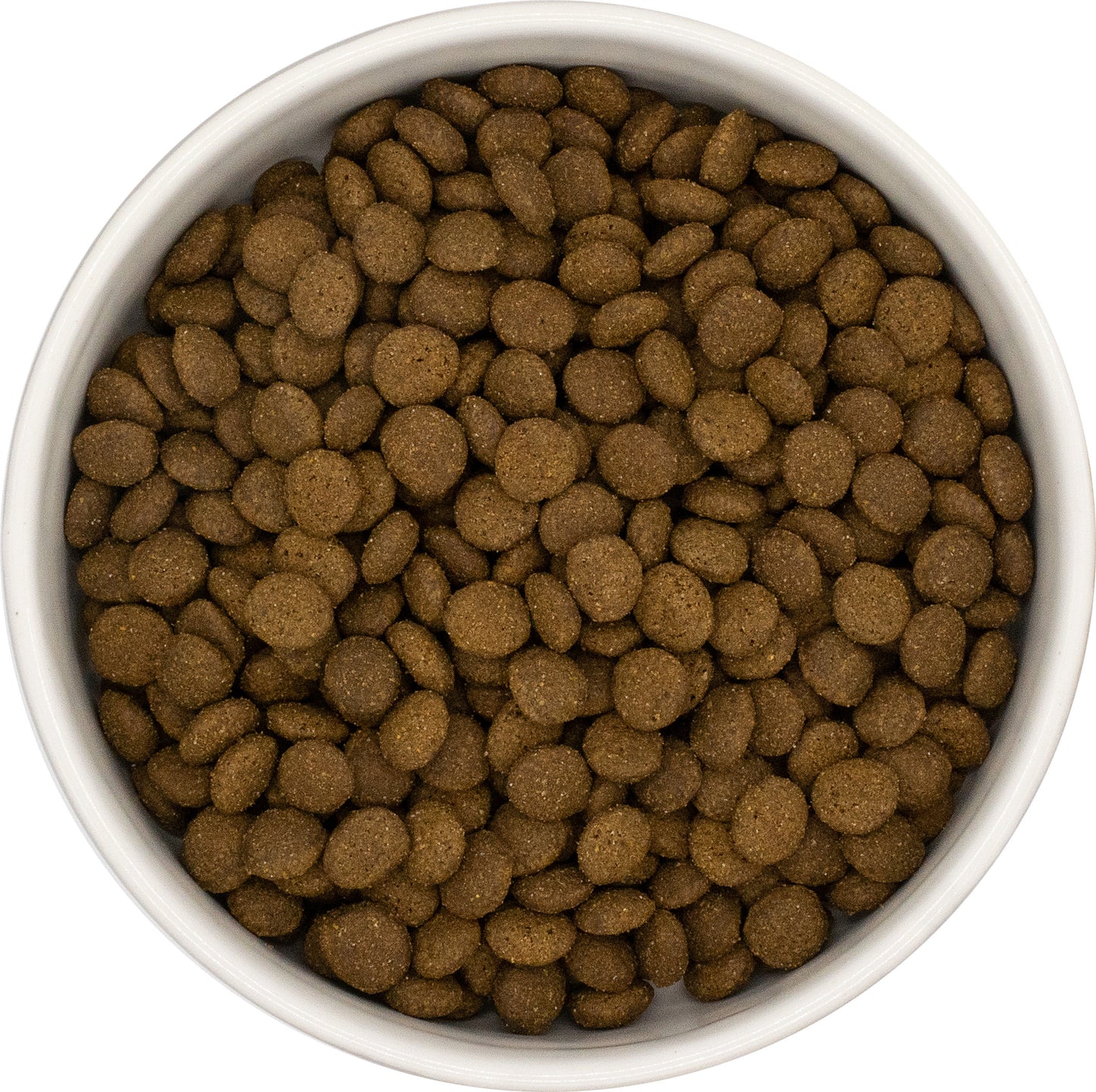 Sterilisierte erwachsene Katze Lachs mit Weißfisch Adult