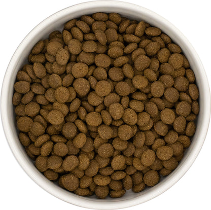 Sterilisierte erwachsene Katze Lachs mit Weißfisch Adult