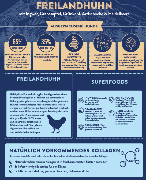 Superfood 65 Freilandhuhn mit Ingwer, Granatapfel, Grünkohl, Artischocke & Heidelbeere Adult