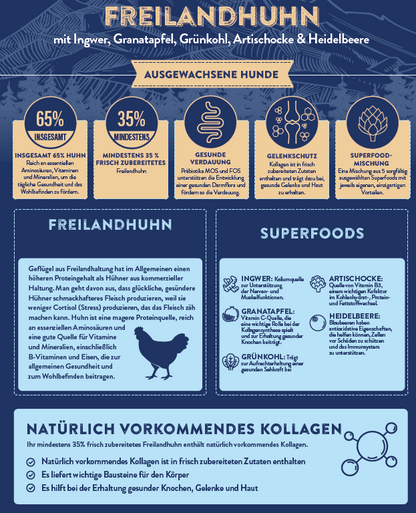 Superfood 65 Freilandhuhn mit Ingwer, Granatapfel, Grünkohl, Artischocke & Heidelbeere Adult