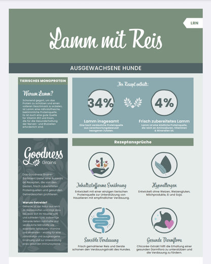 Lamm und Reis